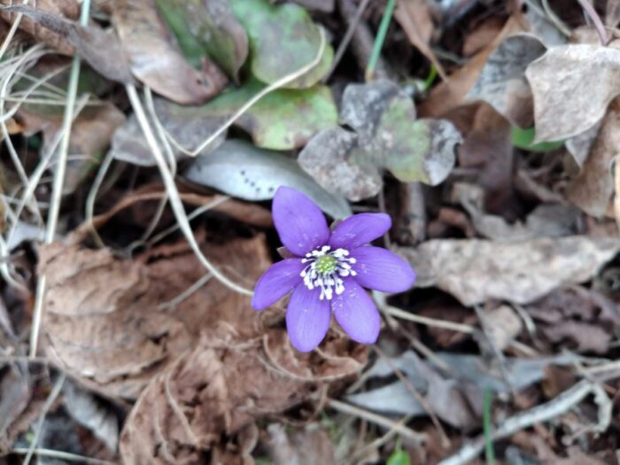 Láska je víc než nenávist. Pravda Páně zvítězí.