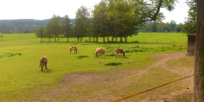 Dvůr pod Lipami: 1. Nabídka zázemí pro letní tábory