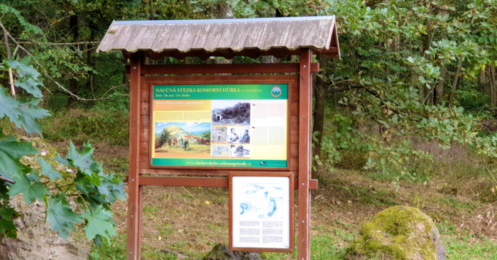 Dvůr pod Lipami: 1. Nabídka zázemí pro letní tábory