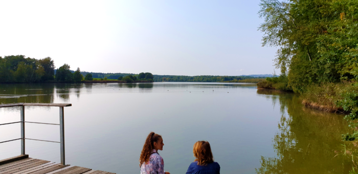 Dvůr pod Lipami: 1. Nabídka zázemí pro letní tábory