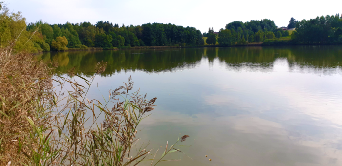 Dvůr pod Lipami: 1. Nabídka zázemí pro letní tábory