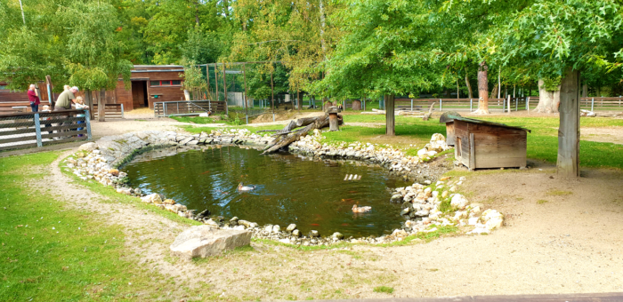 Dvůr pod Lipami: 1. Nabídka zázemí pro letní tábory