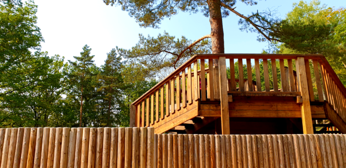 Dvůr pod Lipami: 1. Nabídka zázemí pro letní tábory