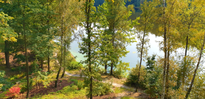 Dvůr pod Lipami: 1. Nabídka zázemí pro letní tábory