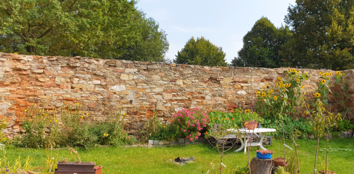 Dvůr pod Lipami: 1. Nabídka zázemí pro letní tábory