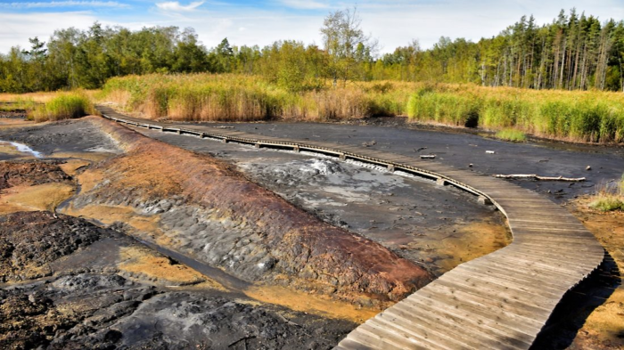 Dvůr pod Lipami: 1. Nabídka zázemí pro letní tábory