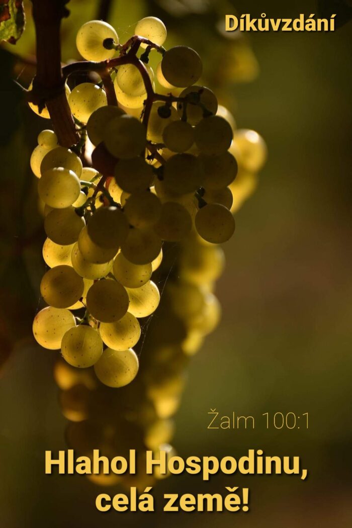 Díkůvzdání: 3. Hlahol Hospodinu, celá země!