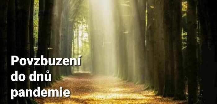 Povzbuzení: 2. Samuelova 22:29