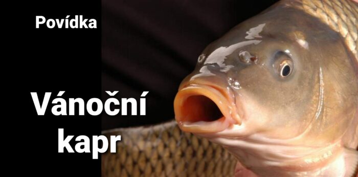 Povídka: Vánoční kapr