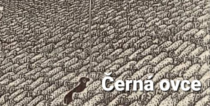 Humor: 3. Černá ovce