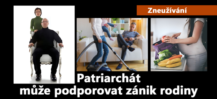Zneužívání: 69. Komplementarismus může podporovat zánik rodiny