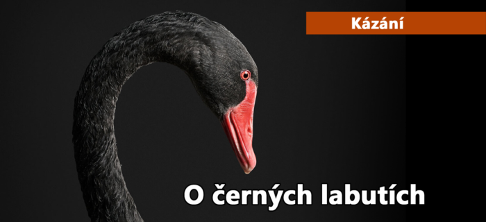 Kázání: 196. O černých labutích