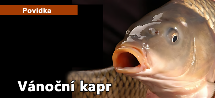 Povídka: 19. Vánoční kapr