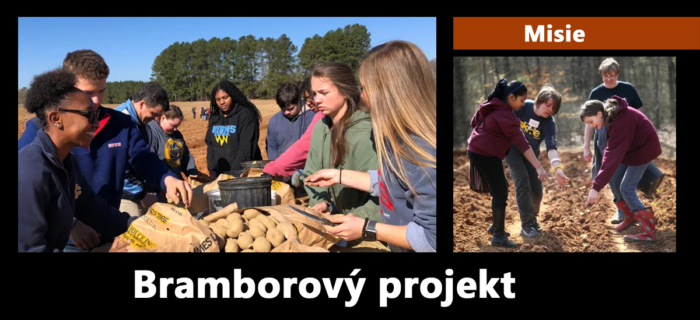 Misie: Bramborový projekt