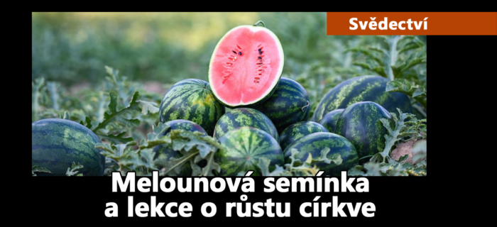 Svědectví: Melounová semínka a lekce o růstu církve