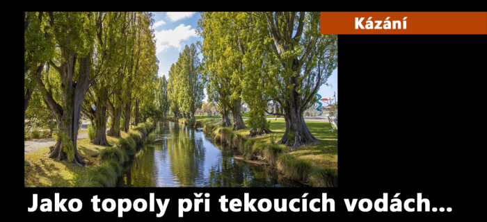 Kázání: Jako topoly při tekoucích vodách…