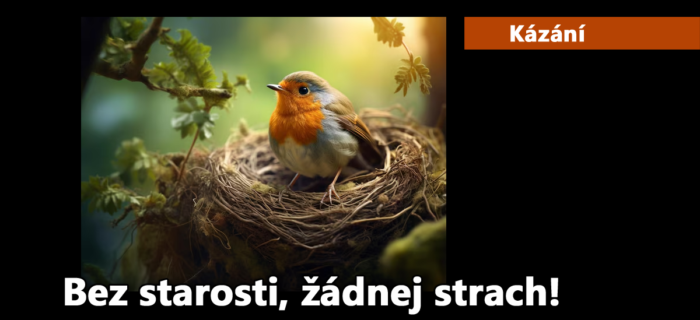 Kázání: 236. Bez starosti, žádnej strach!