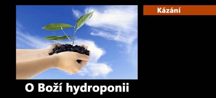 Kázání: 265. O Boží hydroponii